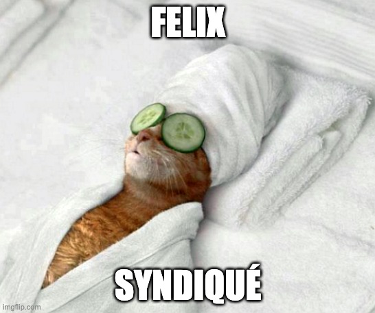 Meme Relaxicat où l'on voit un chat dans un peignoir avec des concombres sur les yeux et où l'on peut lire Felix - Syndiqué